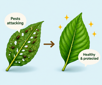 Plant Protection