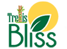 trellisblissindia