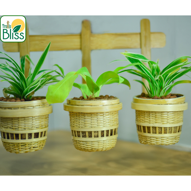 Trellis Bliss 3-in-1 Bamboo Wall Planter