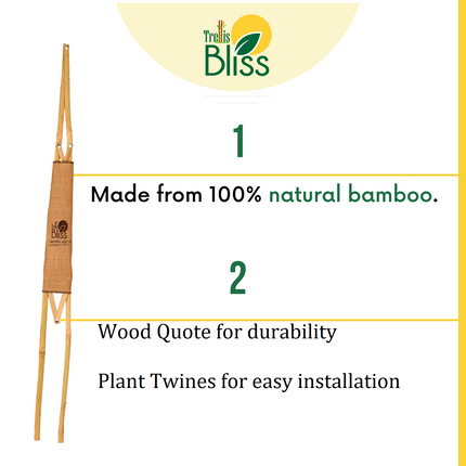 Trellis Bliss Bamboo A-Trellis