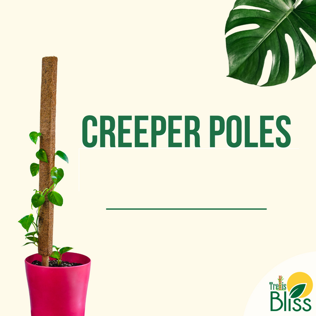 Trellis Bliss 50CM Coir Creeper Pole