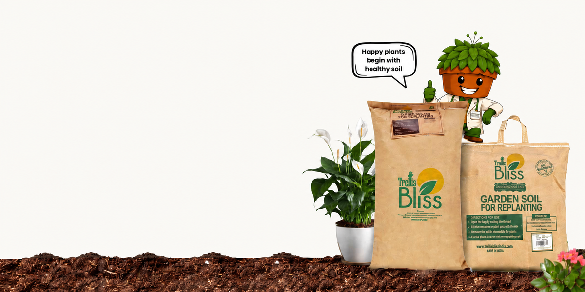 Healthy plants begin below the surface.