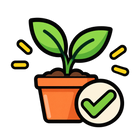 Beginner