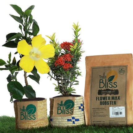 Trellis Bliss Plant Food