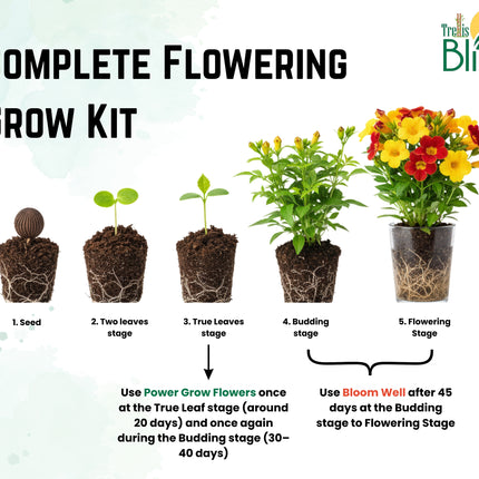 Trellis Bliss Nutrition Kit: Flowering Plants