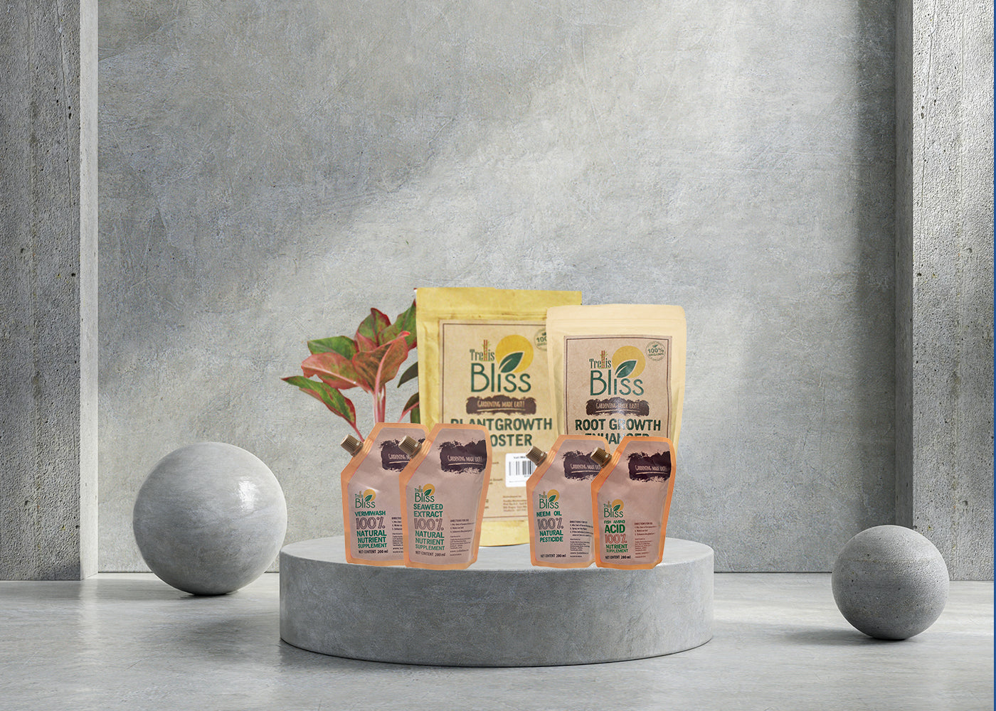 Trellis Bliss trellisblissindia