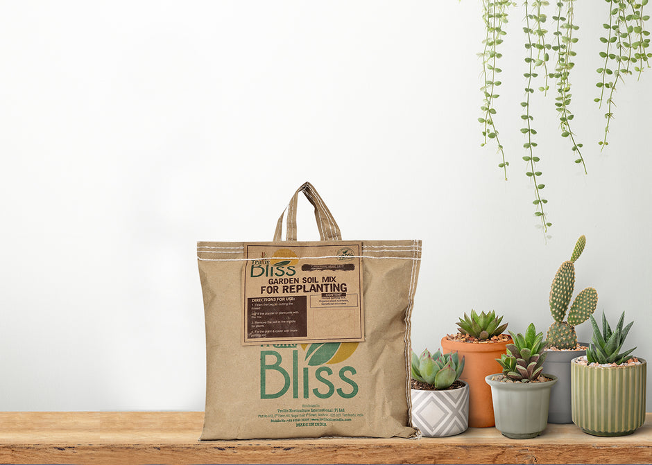 Trellis Bliss trellisblissindia