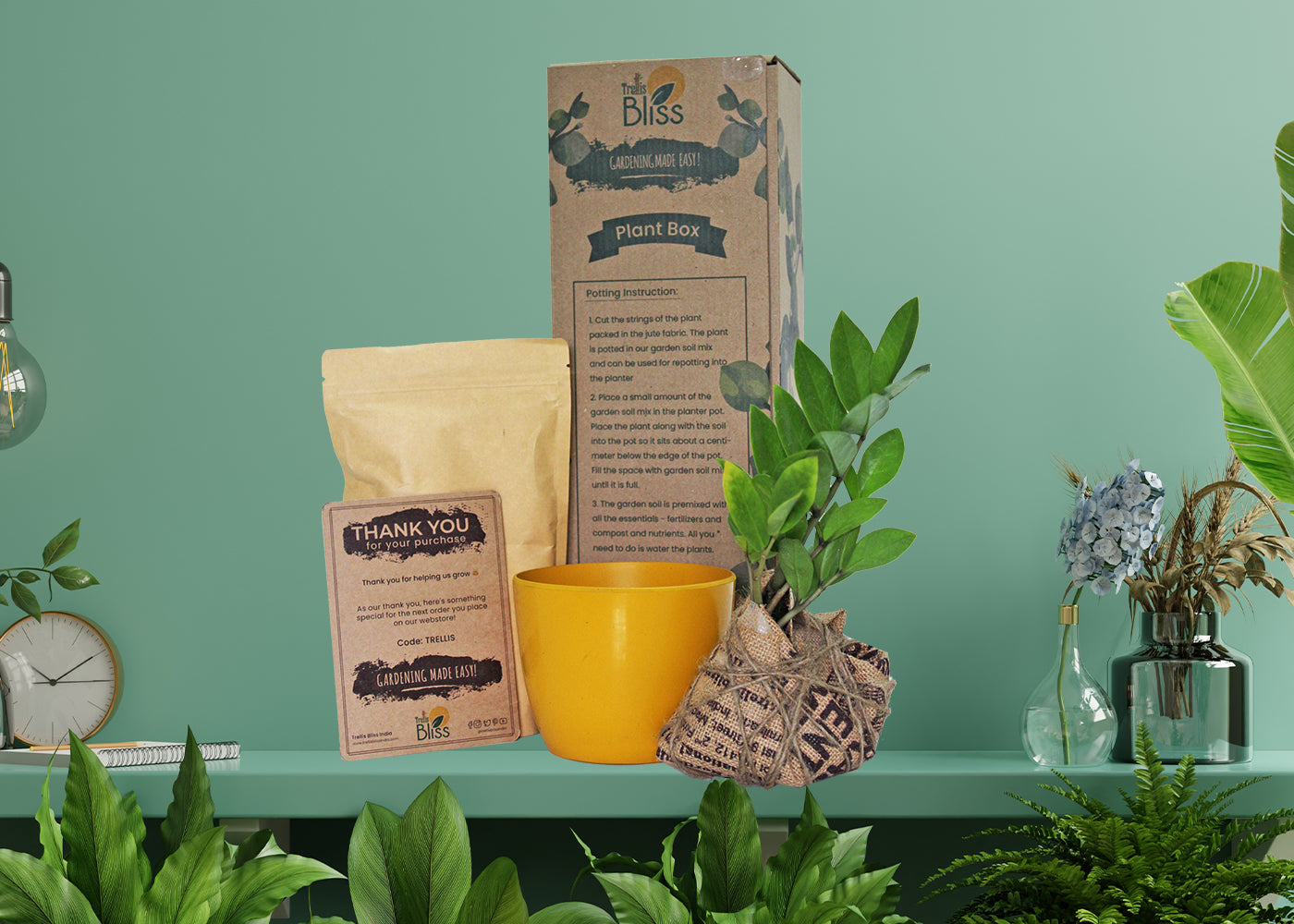 Trellis Bliss trellisblissindia