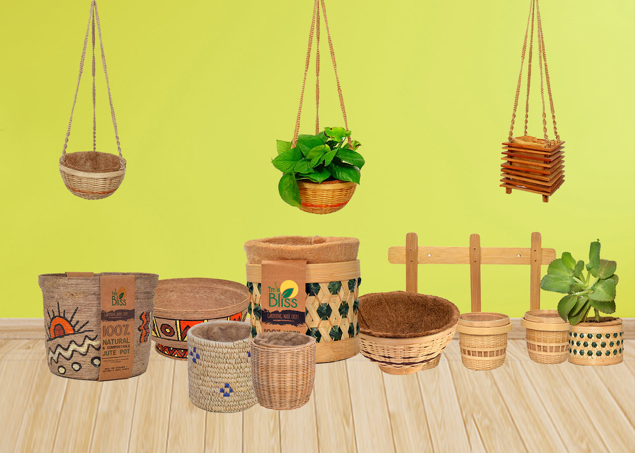 Trellis Bliss trellisblissindia