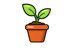 Indoor Plants