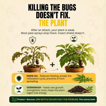 Trellis Bliss Insect Shield