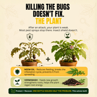 Trellis Bliss Insect Shield