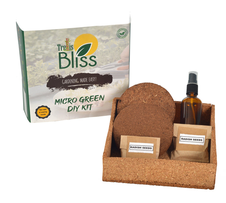 Trellis Bliss trellisblissindia