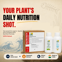 Trellis Bliss Nutri Rich