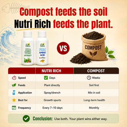 Trellis Bliss Nutri Rich