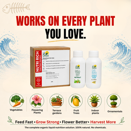 Trellis Bliss Nutri Rich