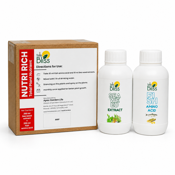 Trellis Bliss Nutri Rich