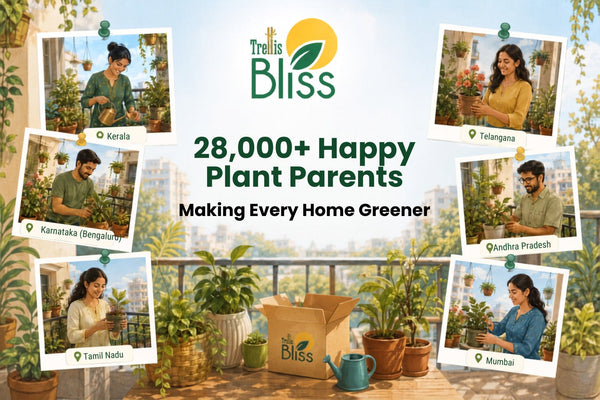 Growing More Than Plants