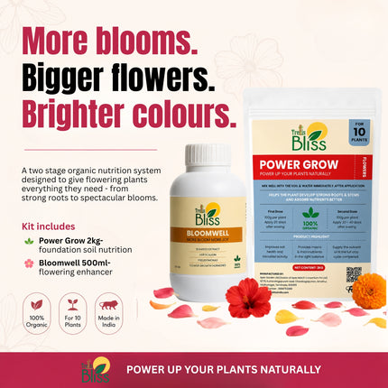 Trellis bliss Power Grow - Flowers