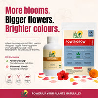 Trellis Bliss Power Grow - Flowering