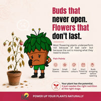 Trellis Bliss Power Grow - Flowering