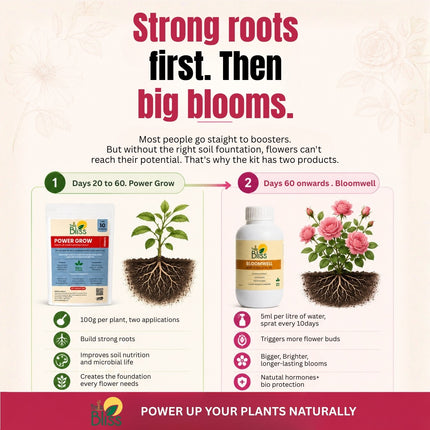 Trellis bliss Power Grow - Flowers