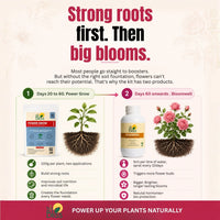 Trellis Bliss Power Grow - Flowering