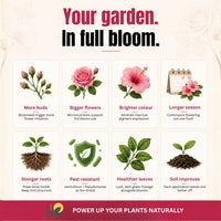 Trellis Bliss Power Grow - Flowering