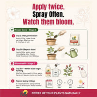 Trellis Bliss Power Grow - Flowering