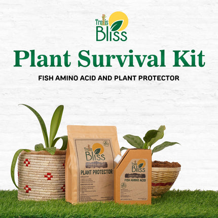 Trellis Bliss Plant Survival Kit