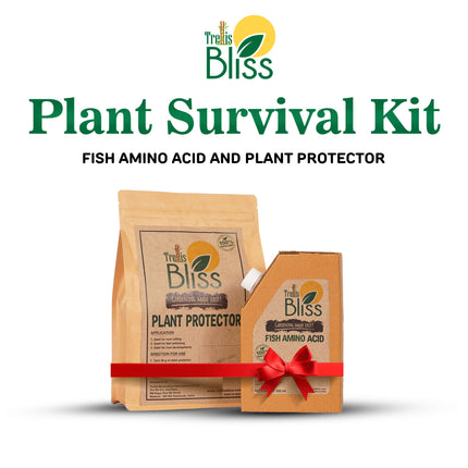 Trellis Bliss Plant Survival Kit