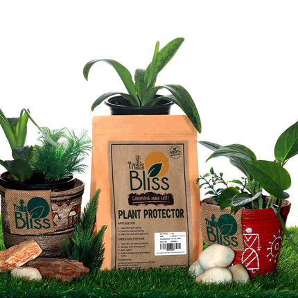 Trellis Bliss Plant Survival Kit