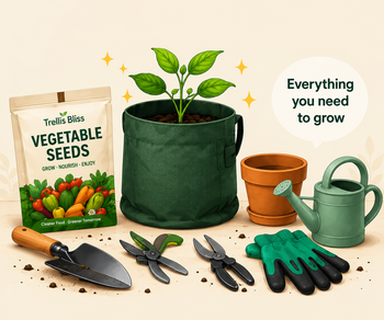 Plant Accessories