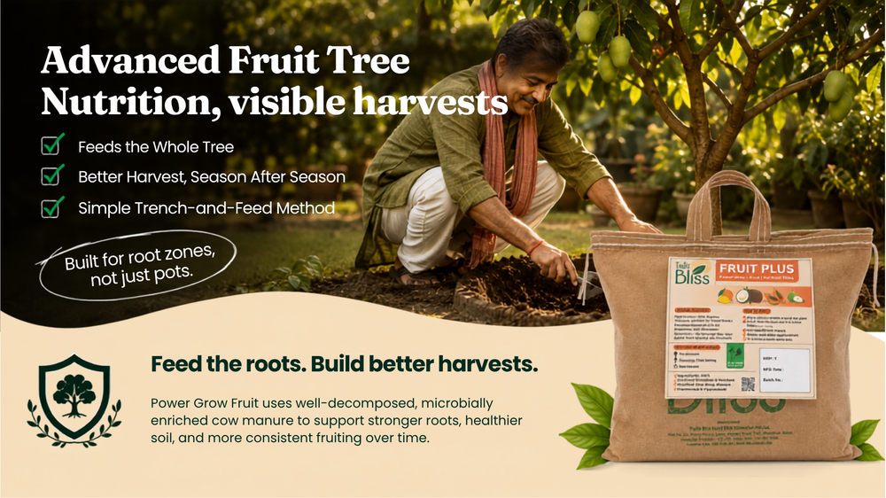 Feed the Roots, Then Feed the Bloom