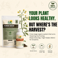 Trellis Bliss Power Grow - Vegetable