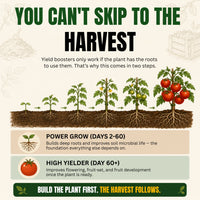 Trellis Bliss Power Grow - Vegetable