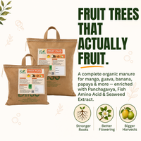 Trellis Bliss Power Grow - Fruit