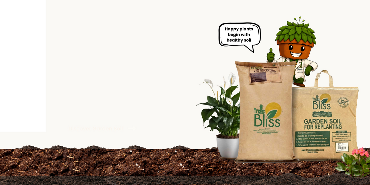 Healthy plants begin below the surface.