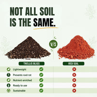 Trellis Bliss Garden soil