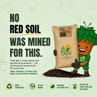 Trellis Bliss Garden soil