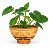 Trellis Bliss 10″ Bamboo Tabletop Planter