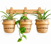 Trellis Bliss 3-in-1 Bamboo Wall Planter
