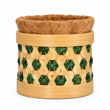 Trellis Bliss 4″ Bamboo Succulent Planter