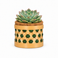 Trellis Bliss 4″ Bamboo Succulent Planter