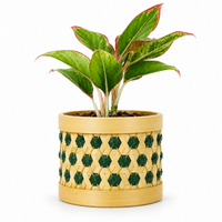 Trellis Bliss 5″ Bamboo Ornamental Plant Pot
