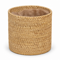 Trellis Bliss 5" Golden Grass Succulent Planter