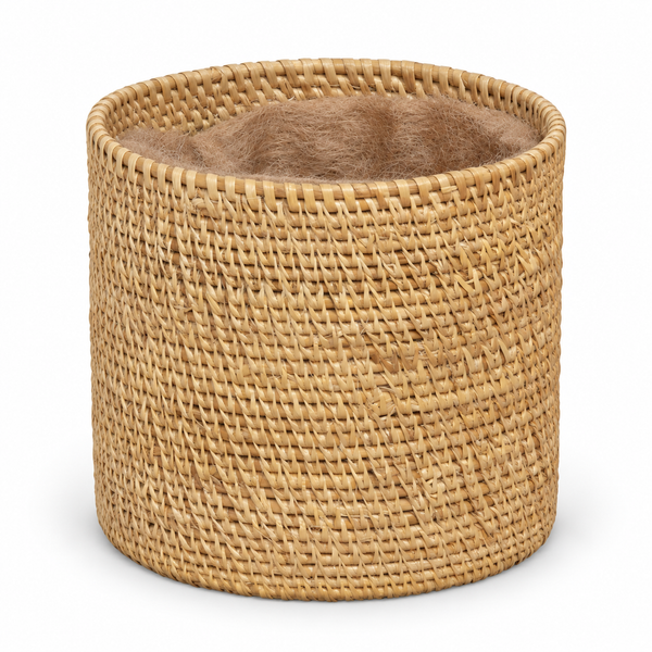 Trellis Bliss 5" Golden Grass Succulent Planter