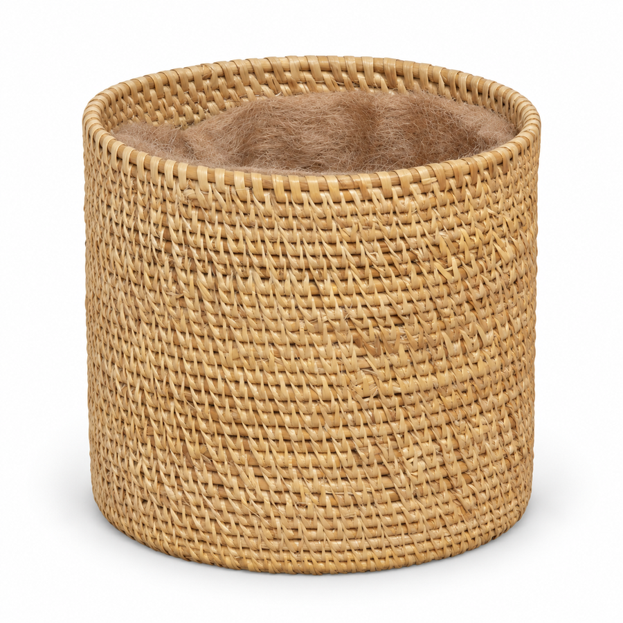 Trellis Bliss 5" Golden Grass Succulent Planter
