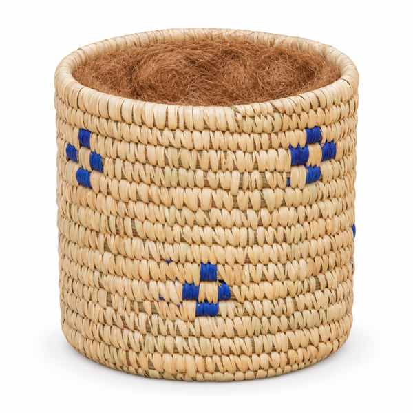 Trellis Bliss 5″ Sabai Grass Succulent Planter