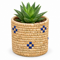 Trellis Bliss 5″ Sabai Grass Succulent Planter